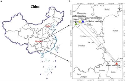 Genetic variability and population divergence of Rhododendron platypodum Diels in China in the context of conservation